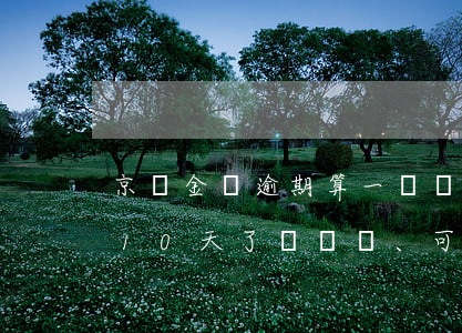 京東金條逾期算一筆還是多筆(京東金條逾期10天了、可以先還一部分的款嗎)